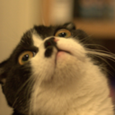 definitionofderp avatar