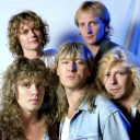 defleppardarchive avatar