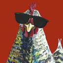 defnotcocks avatar