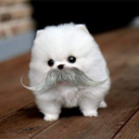 defyingravity8d-blog avatar