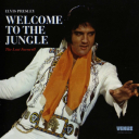 degeneratesshelter avatar