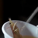 dehydratedsoupjuice avatar