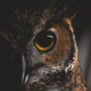 deja-florecer avatar