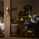 del-u-sion-al avatar