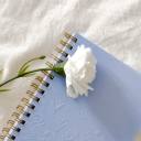 delayeddrabbles avatar