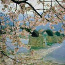 delectablywingedkingdom avatar