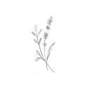 deleted453732829 avatar