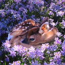 deletedblog23 avatar