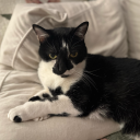 deleteriousmouse avatar