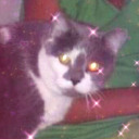 deleting64838393 avatar