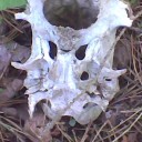 deletingpoint avatar