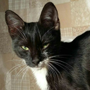 delia-cosciug-blog avatar