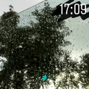 delibirdoktor avatar