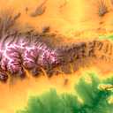 delicate-and-dendriform avatar