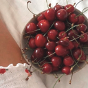 delicate-cherry-pit avatar