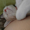 delicate-hurricanes avatar