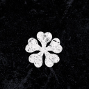 delicateanchorkitty avatar