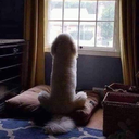 delici545454-blog avatar