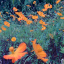 deliciasdeumanoite avatar