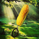 delicious-corn avatar