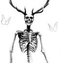 deliciousanimeinblackandwhite avatar