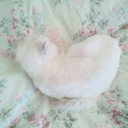 delicioussosia-blog avatar