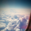 deliciousstupidity avatar