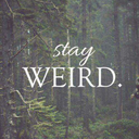 delightful-daydream avatar