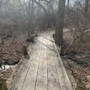 delightful-delerium avatar