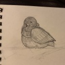 delightfully-human-collection avatar