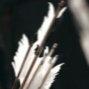 delosresidents avatar