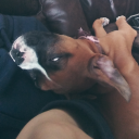 delta-deviant avatar