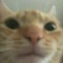 deltasmediocresketches avatar