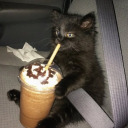 deluge-daydream avatar