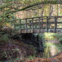 delugeofconsciousness avatar