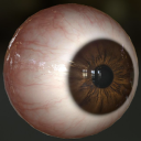 delusion-illumination avatar