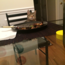 delusionallyconnected avatar