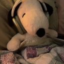 delusiontowns avatar