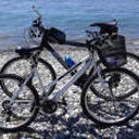 deluxelushlife avatar