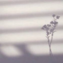 demandd-for-proof avatar