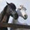 dementiaravenway avatar