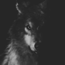 demi321win-chester avatar