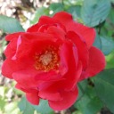 demigod-in-tha-house avatar