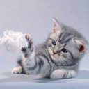 demigoddemigod03 avatar