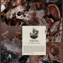 demigodflaggot avatar