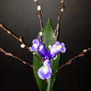 demiurgicexpressions avatar