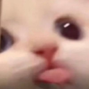 demon-in-flames avatar