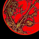 demon-wolf-37 avatar