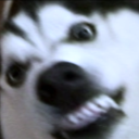 demonic-fl0wers avatar