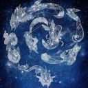 demonsblackcat-blog avatar